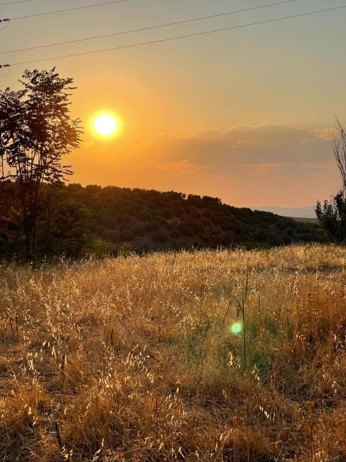 Hébergement de vacances La Moraleja Villanueva Del Arzobispo